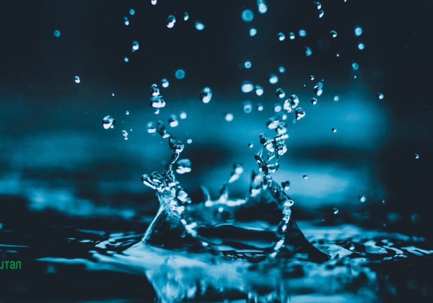 Здравословни навици - пийте вода
