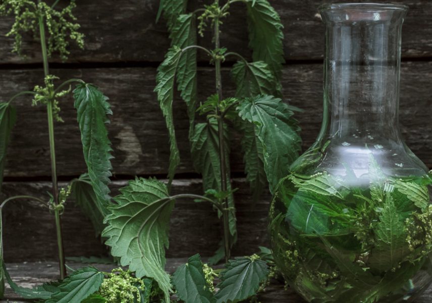 Натуропатия