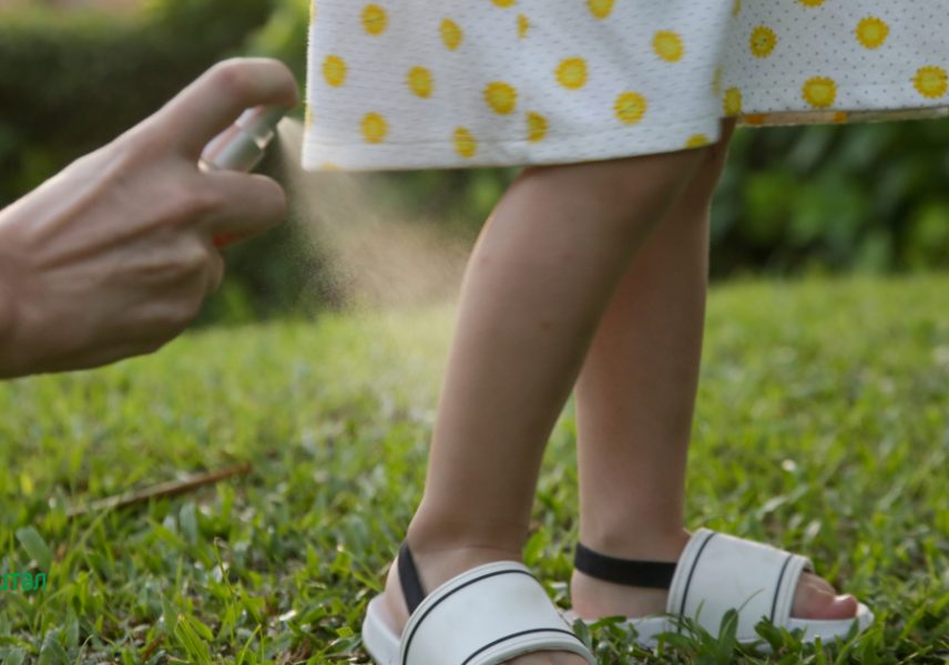 Натурален спрей срещу насекоми