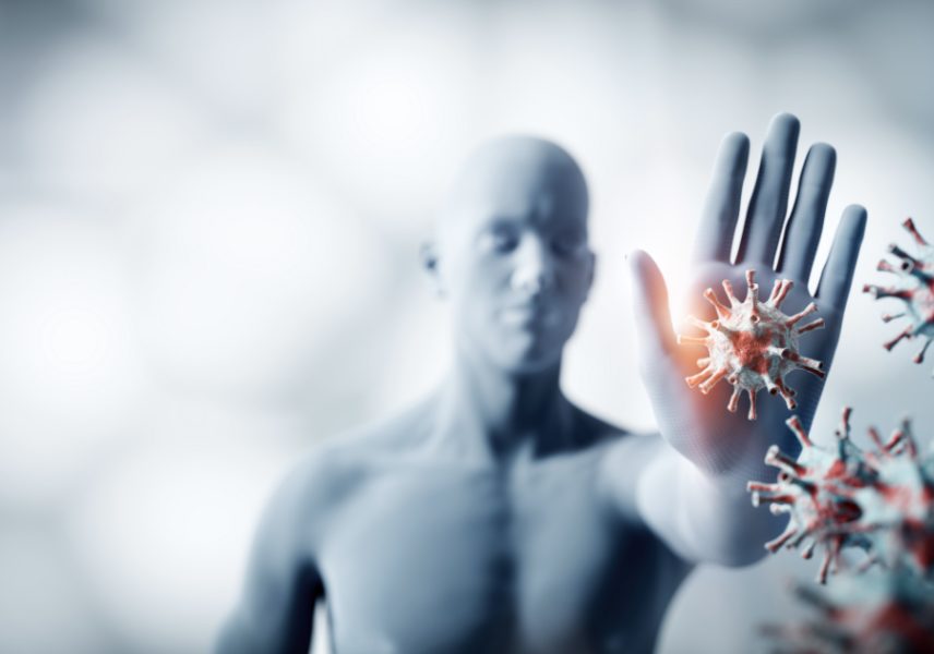 билки за имунната система