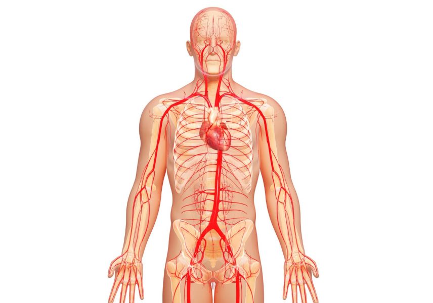 Метаболитен синдром – причини, диагностика, лечение 4