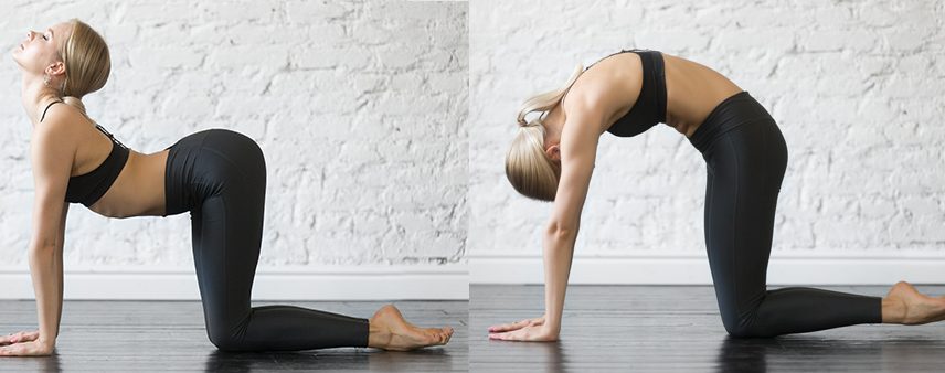 7 йога пози срещу  7 йога пози срещу