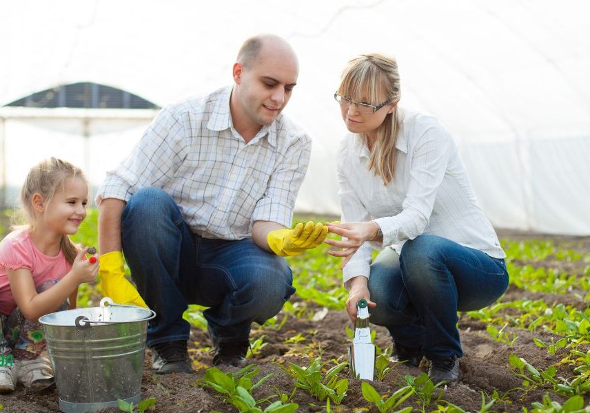 семейни пролетни дейности: засаждане