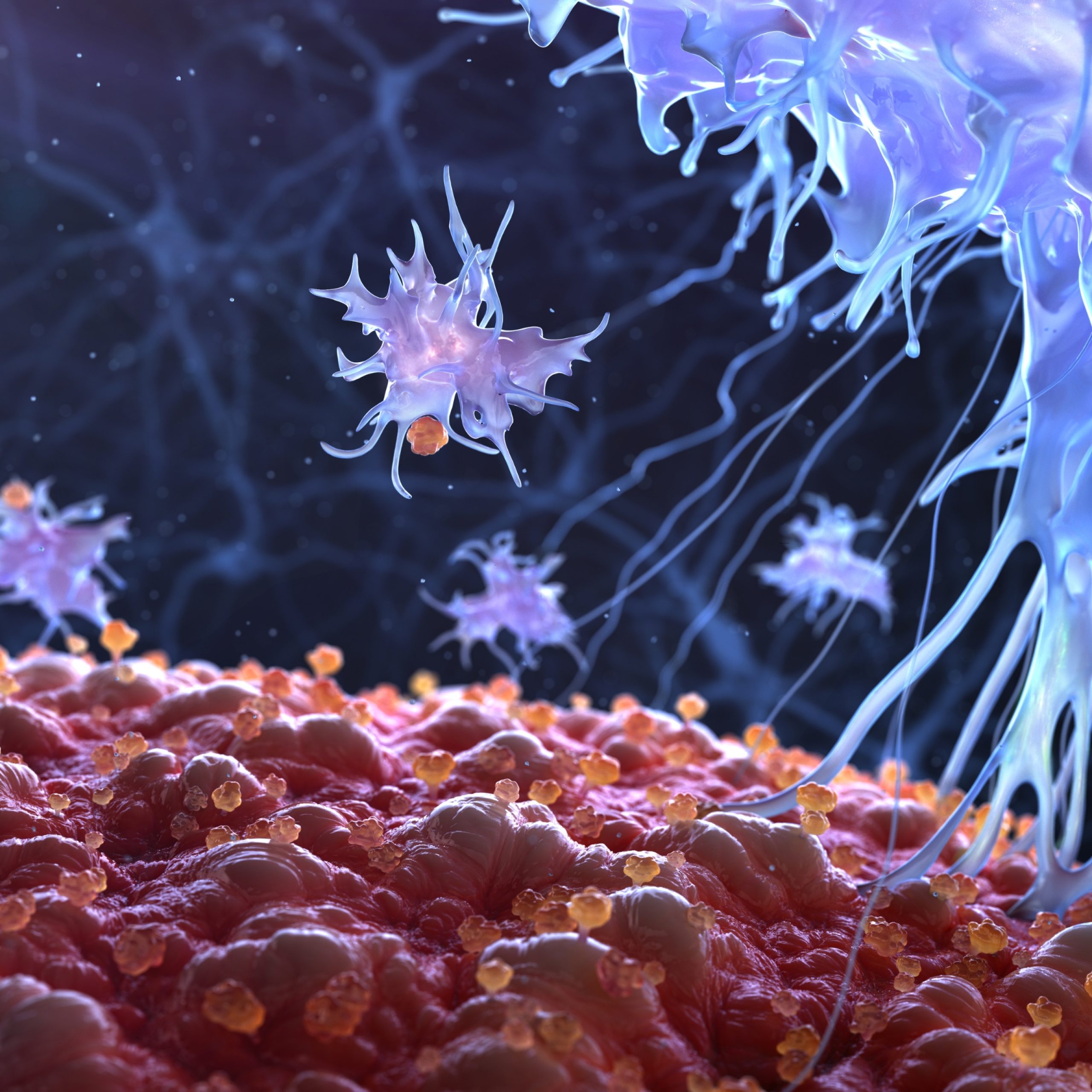 Здравословни проблеми на Рибите според астрологията