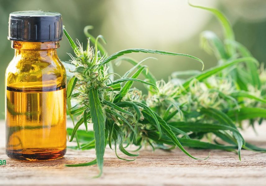 легализация на марихуаната