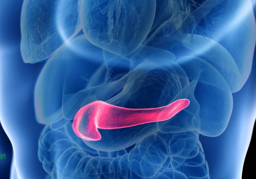 жлъчнокаменен панкреати