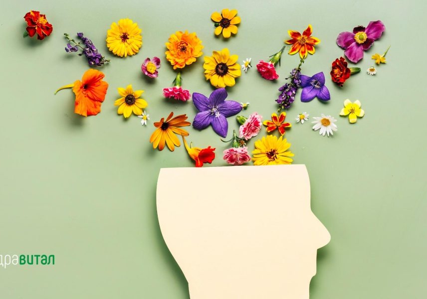 Сибирски женшен - ползи, изследвания, добавки 3 Сибирски женшен - ползи, изследвания, добавки 3