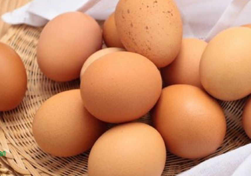 Топ 15 храни за изграждане на мускули - Здравитал 5