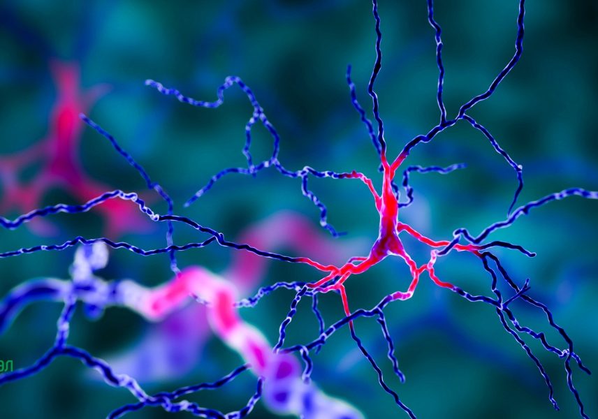 Подобрена активност на мозъка с по-малко захар - Здравитал 4 Подобрена активност на мозъка с по-малко захар - Здравитал 4