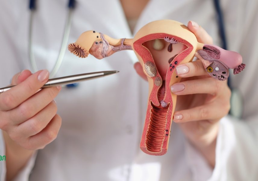 Симптоми на Менопауза: Какво трябва да знаем?  - Здравитал 5 Симптоми на Менопауза: Какво трябва да знаем?  - Здравитал 5