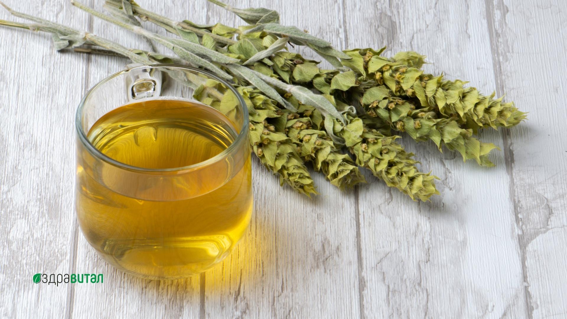 Мурсалски чай – билка с лечебна сила и ценни съставки за дълголетие