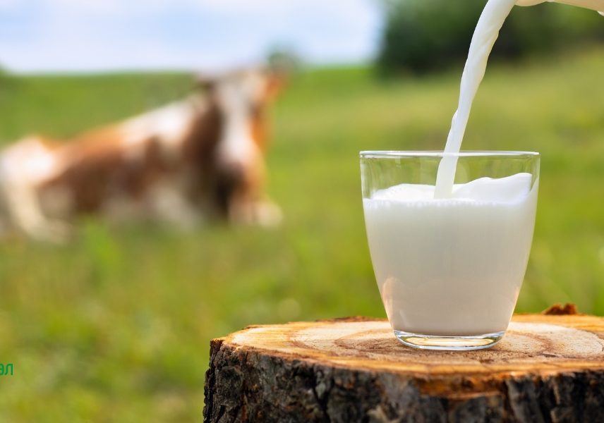 мускулни влакна