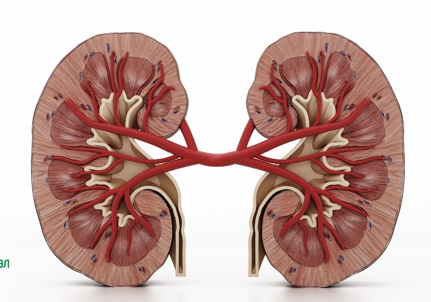6 ползи от водата - Здравитал 6 6 ползи от водата - Здравитал 6
