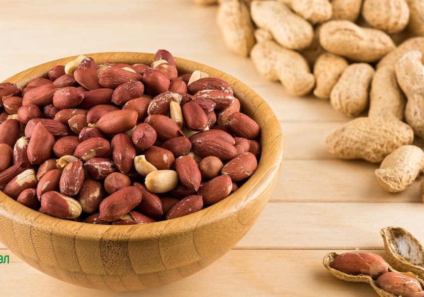 мускулни влакна 2