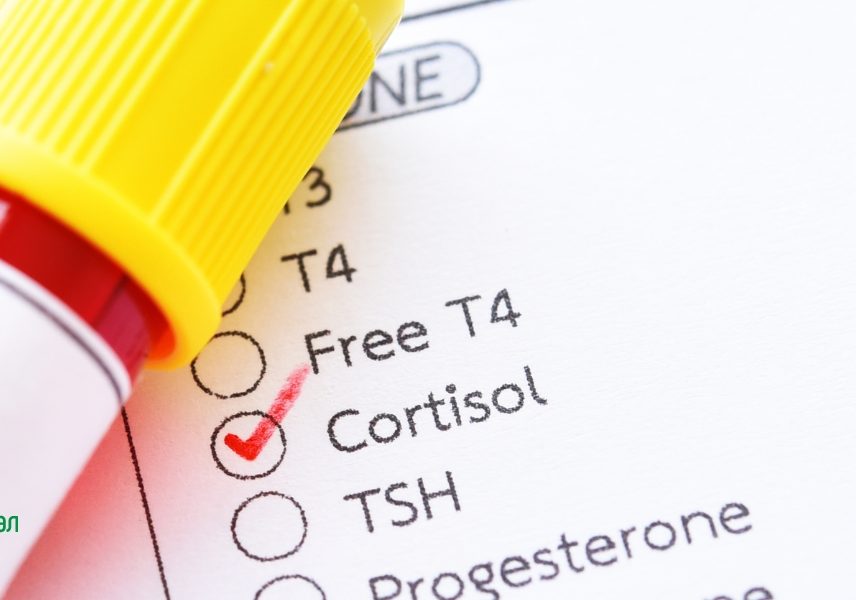 Стрес и отслабване: допирни точки - Здравитал 3