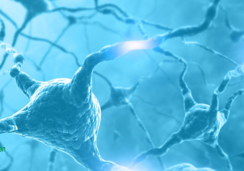 Стрес и отслабване: допирни точки - Здравитал 5