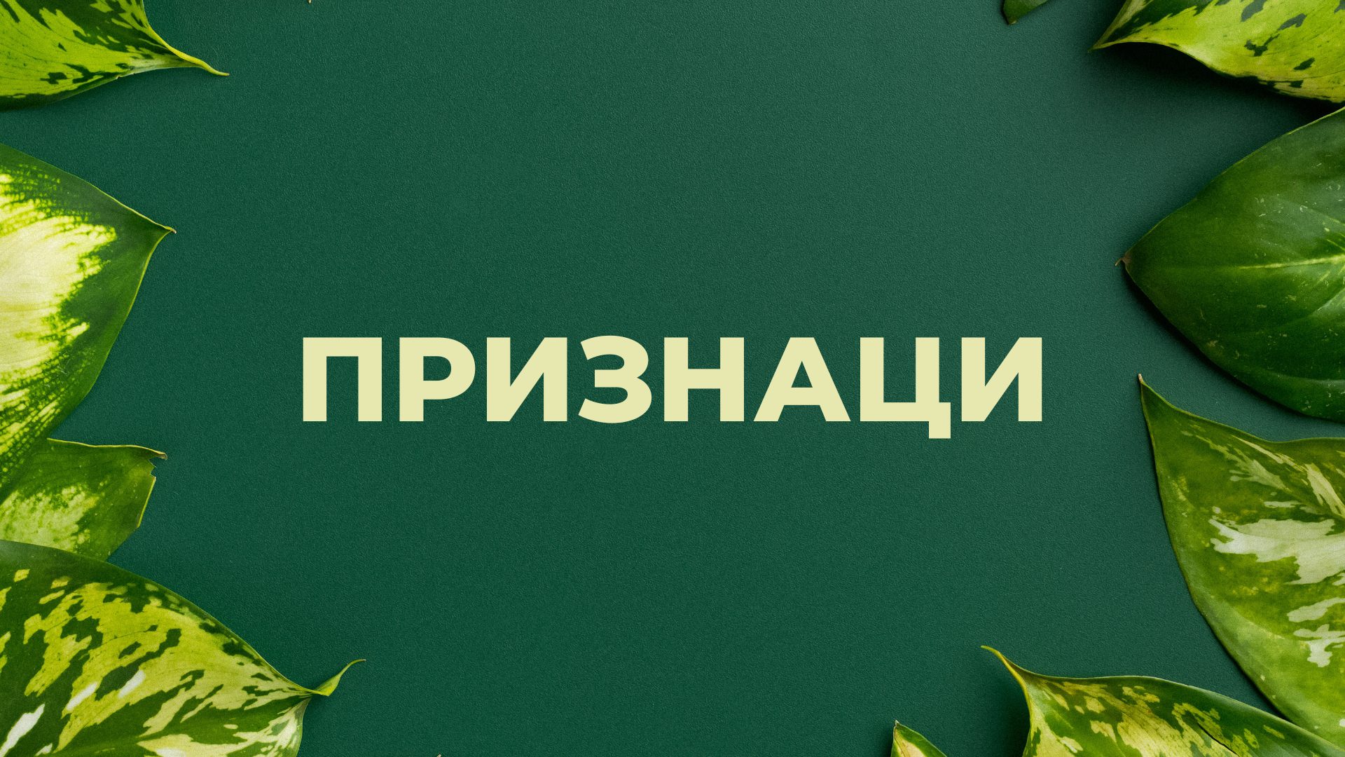 Метаболитен синдром – причини, диагностика, лечение