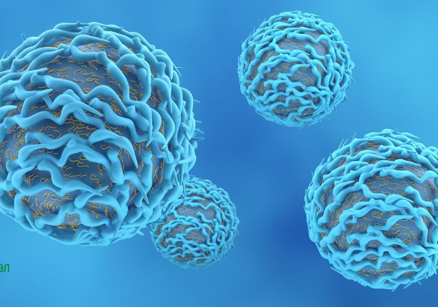 тимусната жлеза