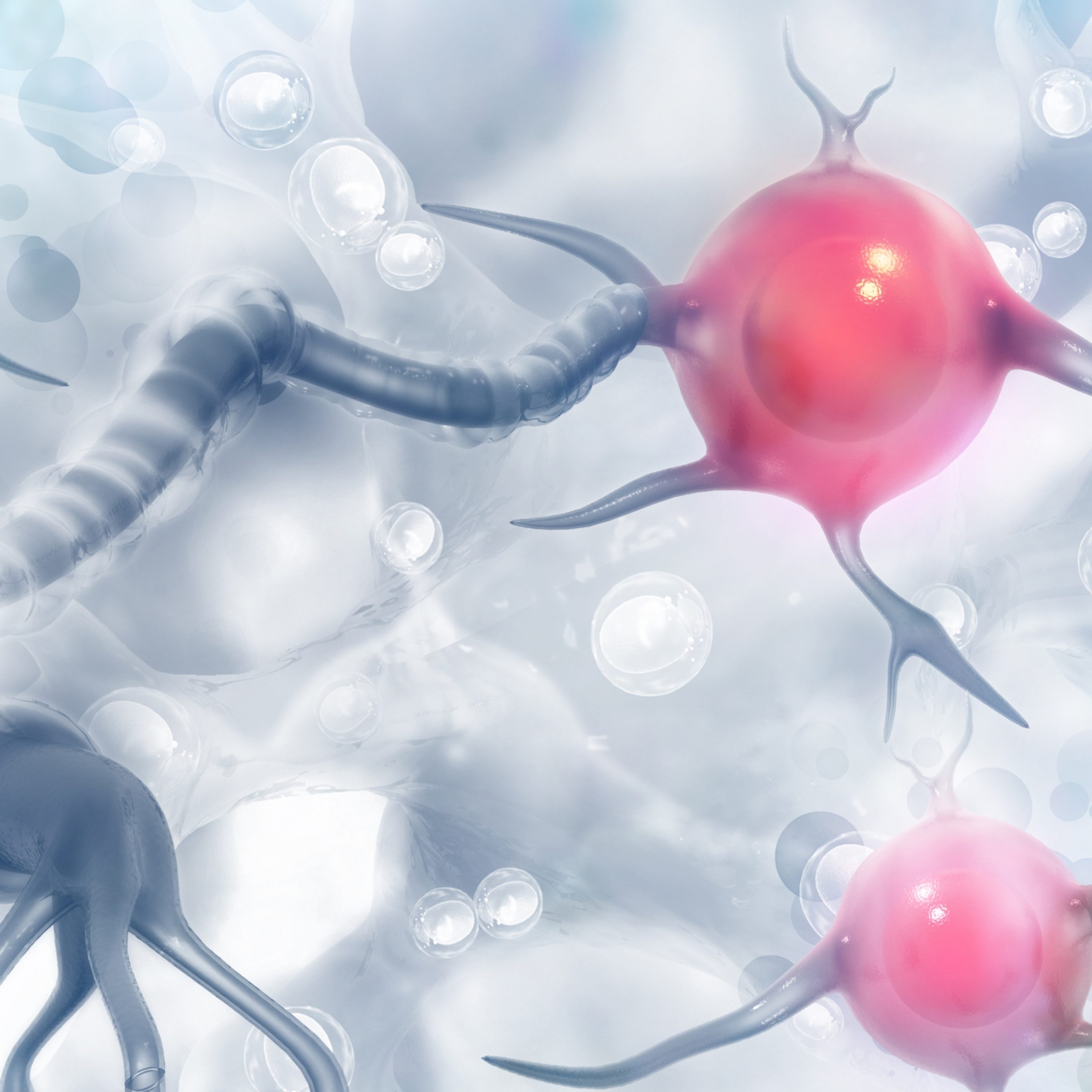 Хормони – Как да ги „хакнем“?