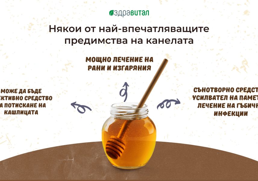 Мед и канела: мощно лекарство или голям мит? 03 Мед и канела: мощно лекарство или голям мит? 03