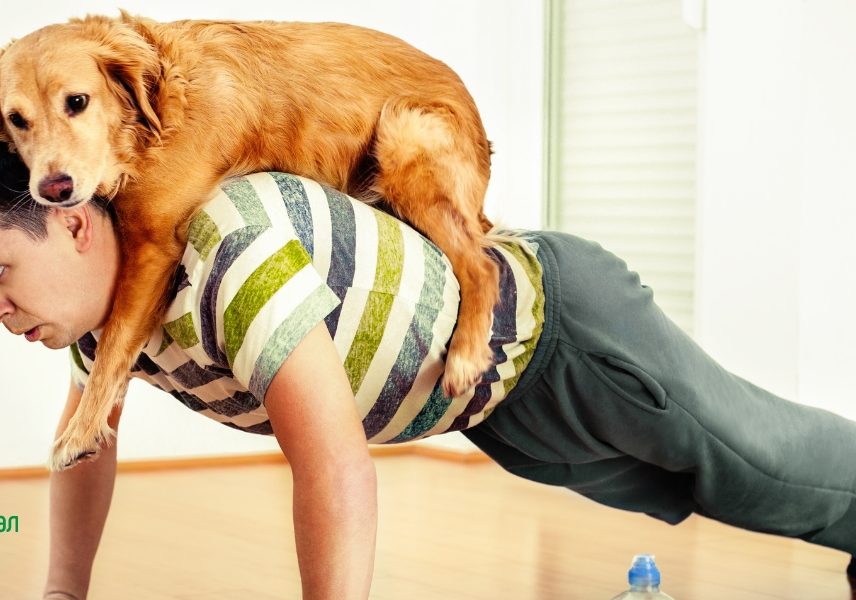 Отговора на въпроса  Отговора на въпроса