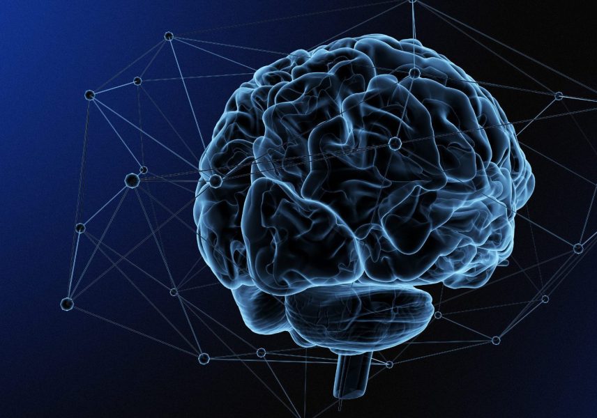 11 интересни факта за нервната система 3 11 интересни факта за нервната система 3