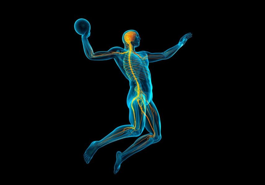 11 интересни факта за нервната система 2 11 интересни факта за нервната система 2