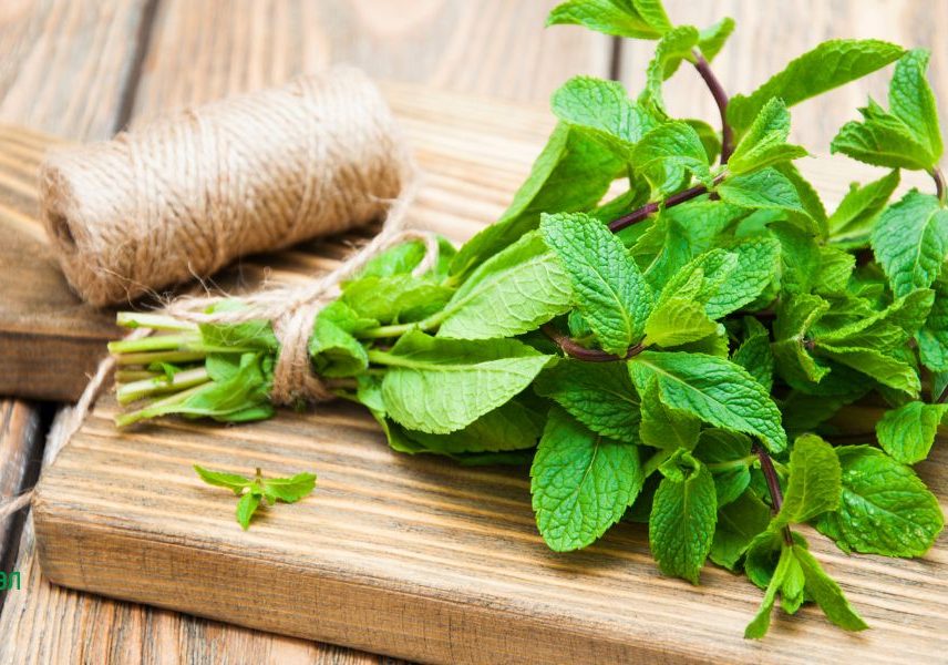 мента при паник атаки и нервен срив