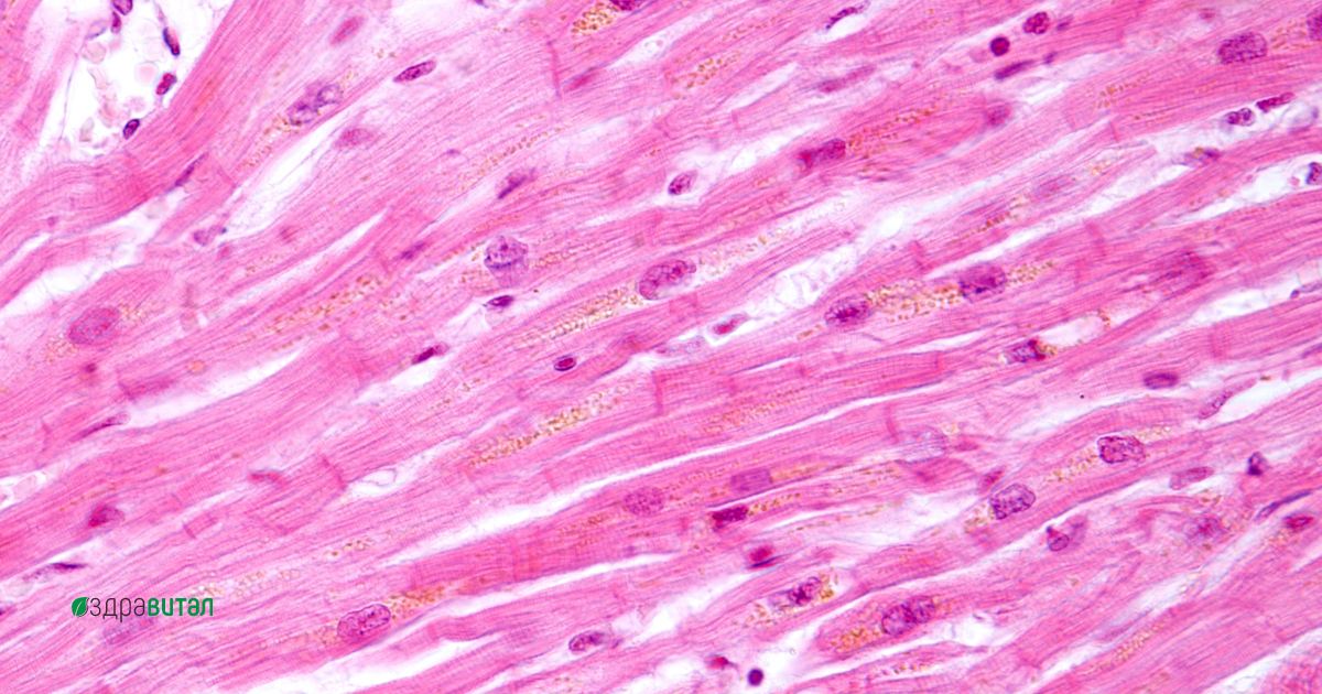 diferentsialna-diagnoza-gradna-bolka