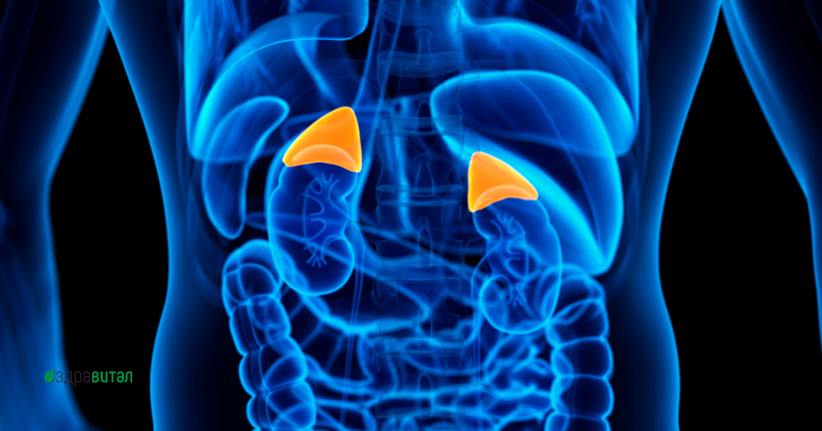 endokrinni-zabolyavania