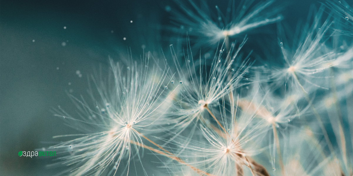 Махане на камъни в жлъчката по естествен начин