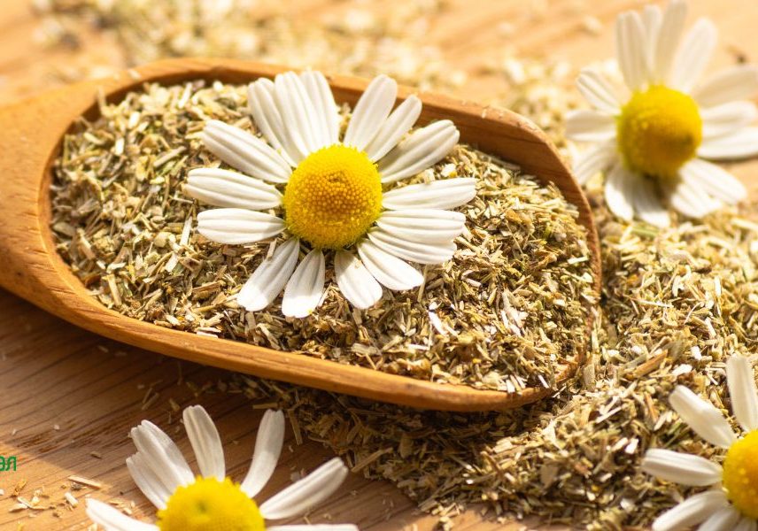 лайка при паник атаки и нервен срив