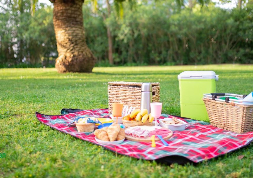 семейни пролетни дейности: пилник