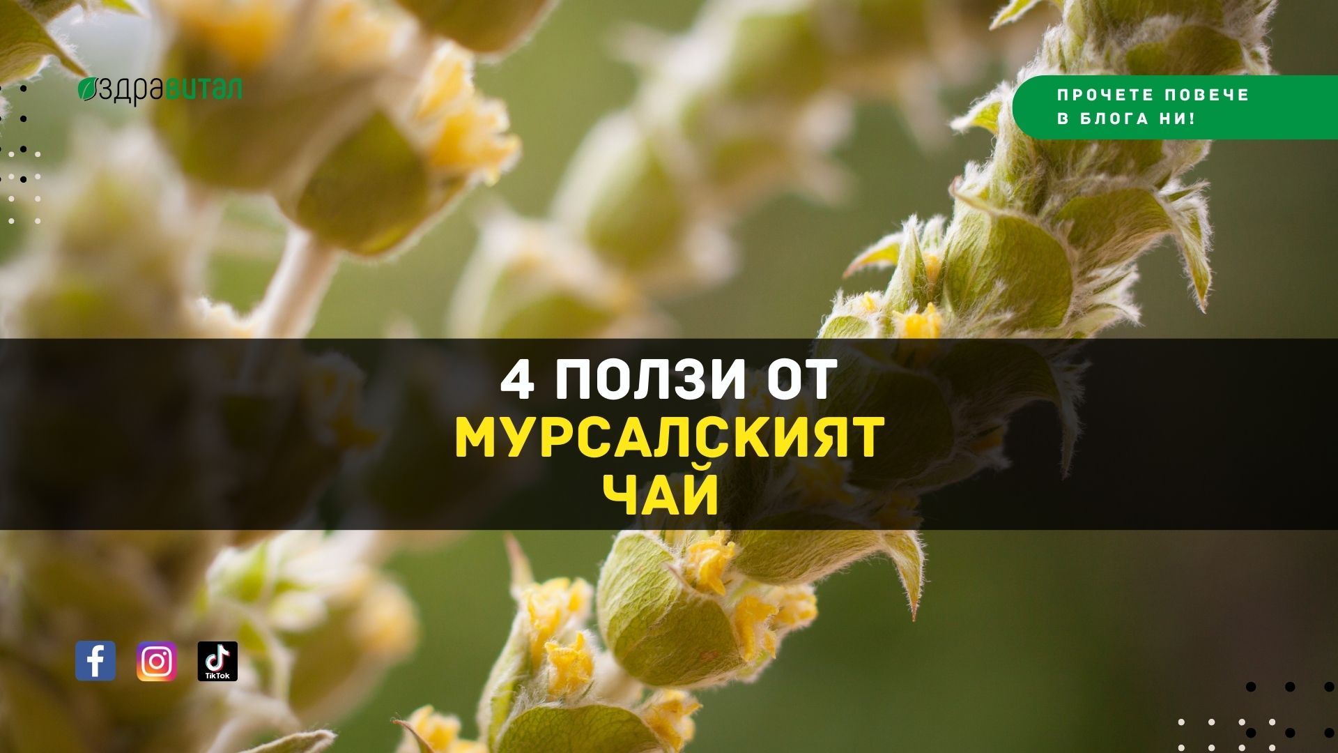 4 ползи от Мурсалският чай