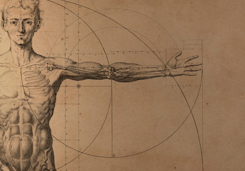 diskova-hernia-v-dolnata-chast-na-garba-zdravital