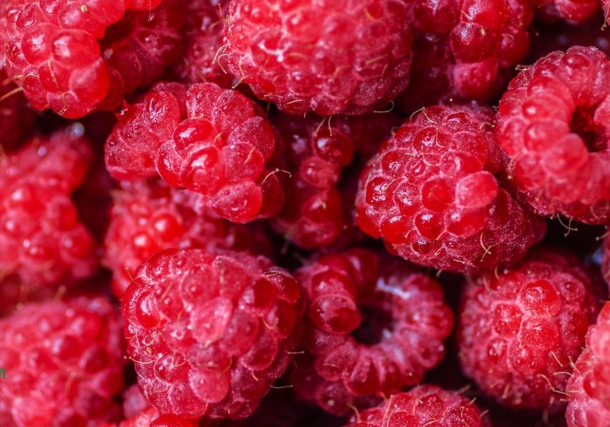 Камъни в бъбреците - симптоми, видове и лечение 2 Камъни в бъбреците - симптоми, видове и лечение 2