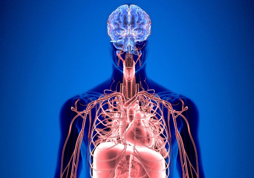 5-fakta-za-zdraveto-prez-zimata-zdravital