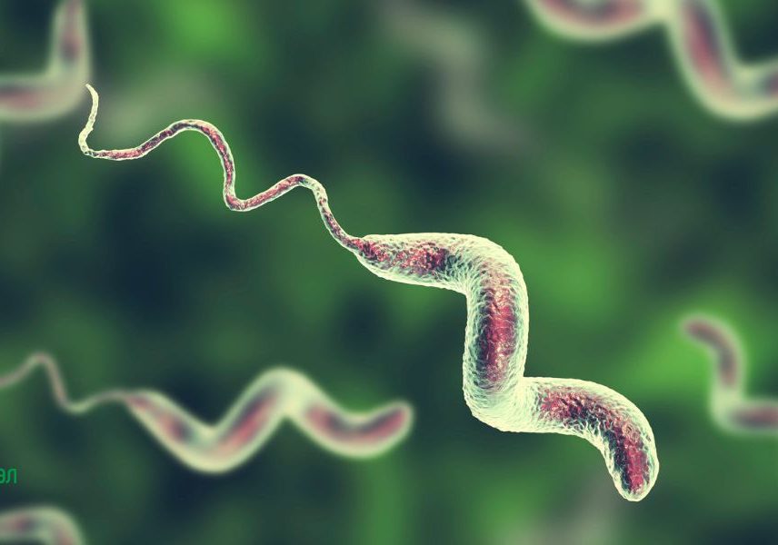 гастроентерит