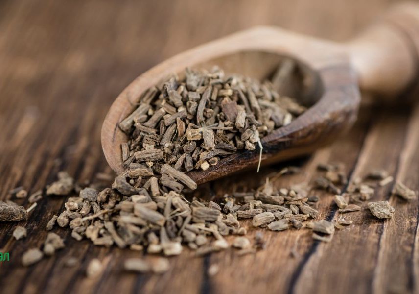 валериана при паник атаки и нервен срив