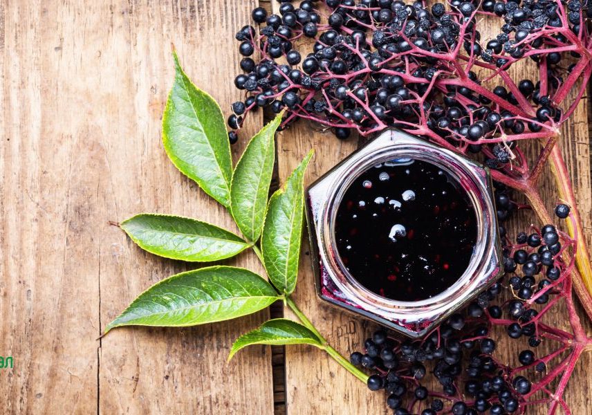 бъз за имунната система