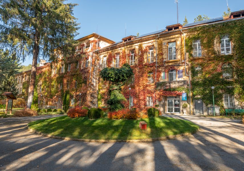 Белодробни Болести - Академия Здравитал Белодробни болести