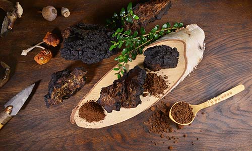 Chaga Mushroom Extract – Гъба Чага