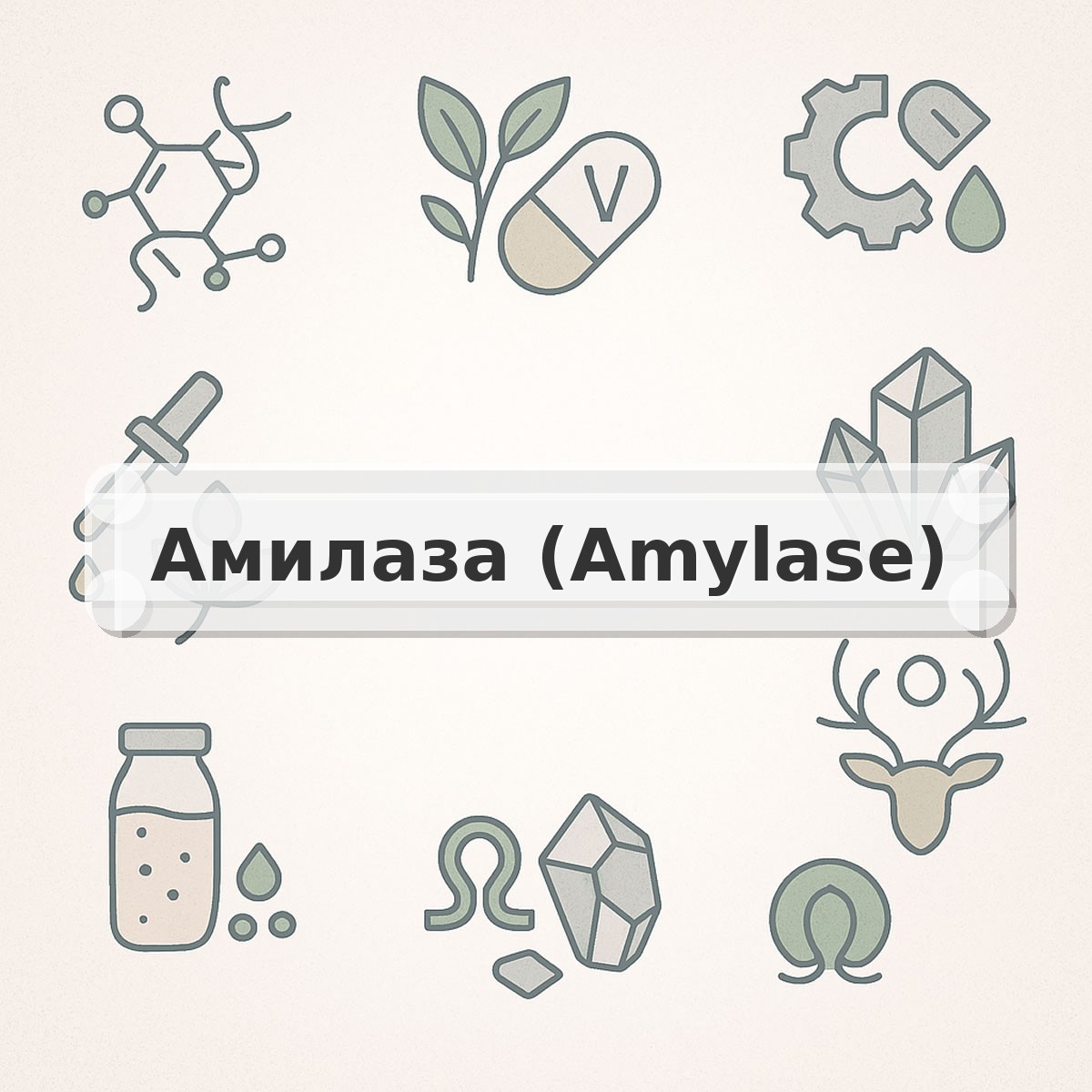 Амилаза (Amylase)