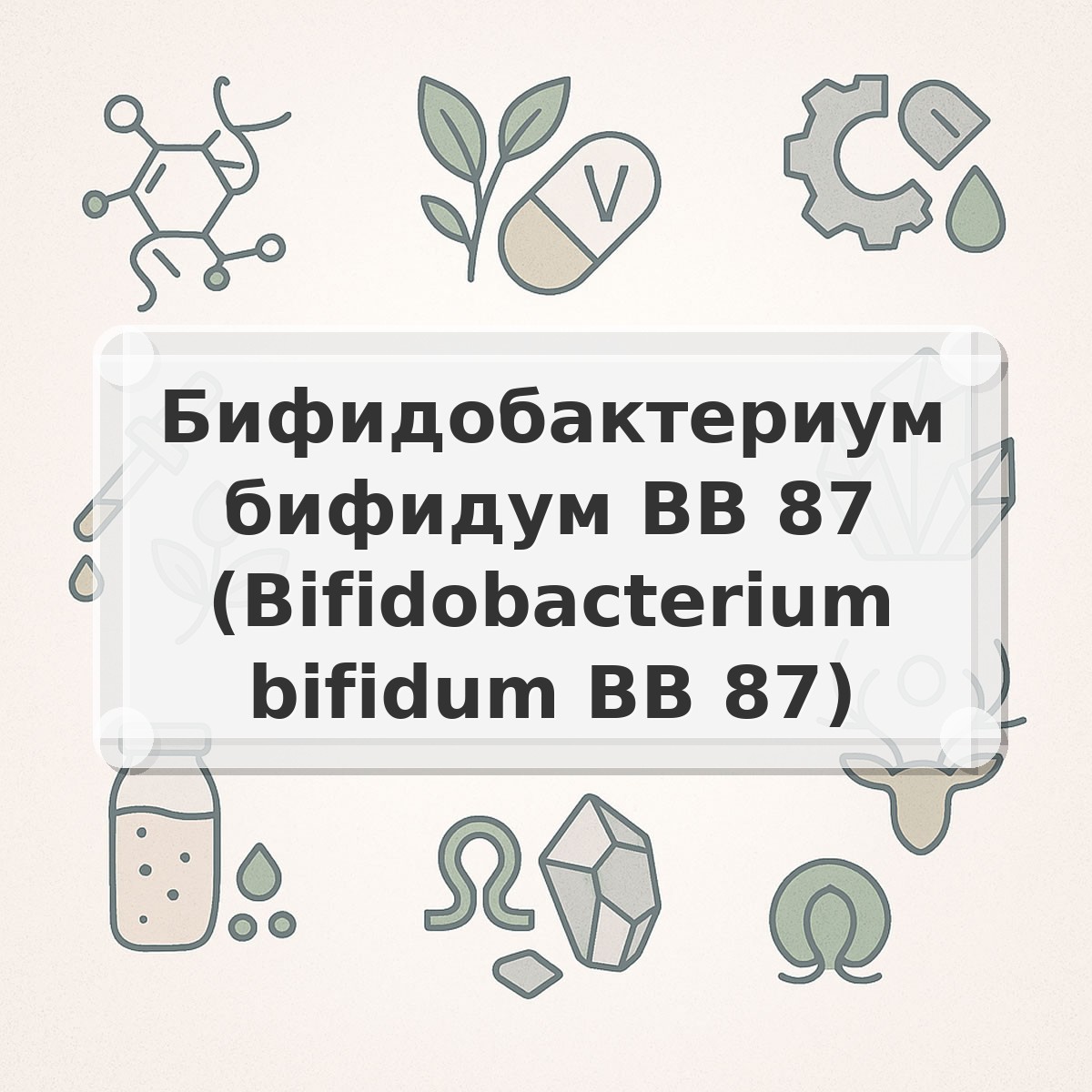 Бифидобактериум бифидум BB 87 (Bifidobacterium bifidum BB 87)