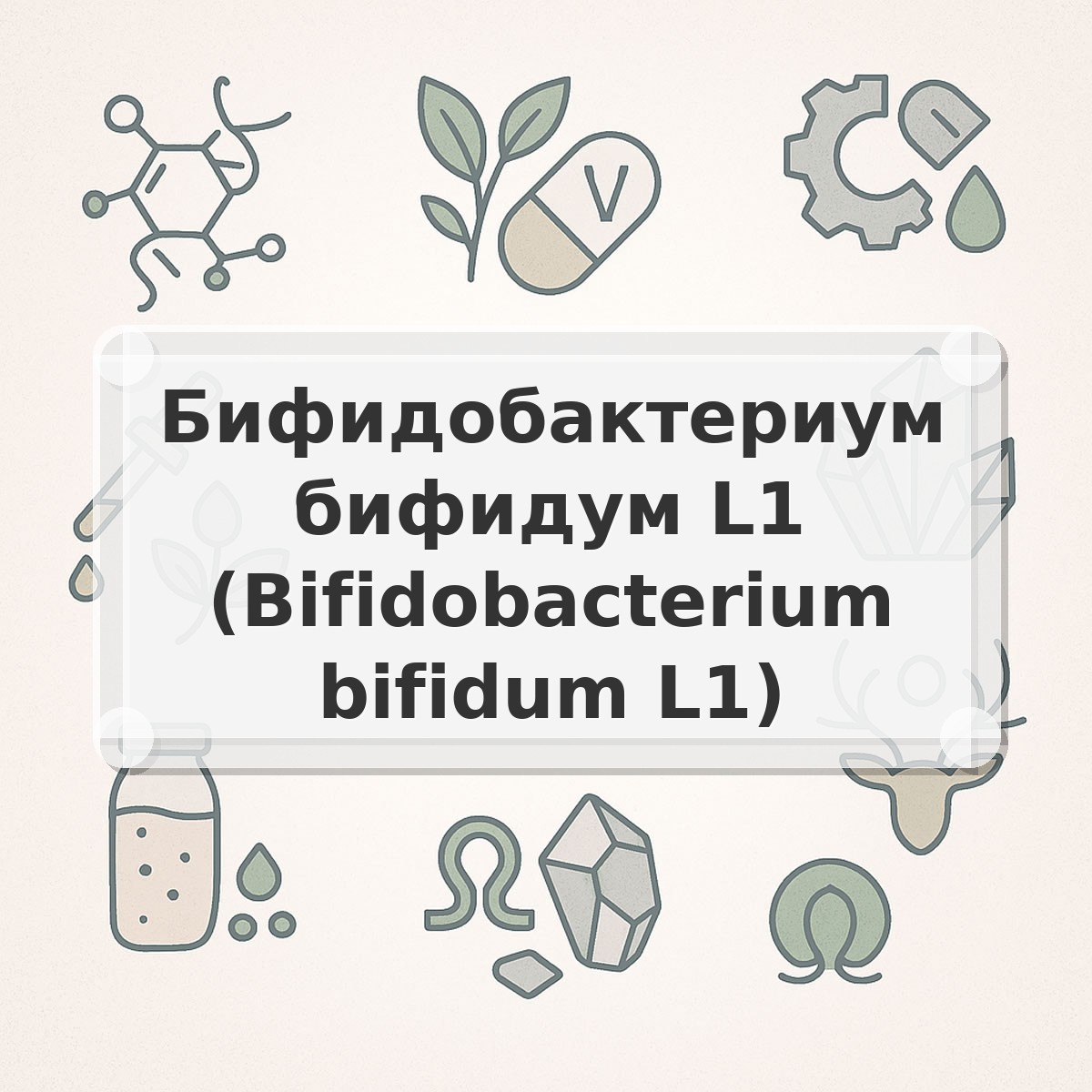 Бифидобактериум бифидум L1 (Bifidobacterium bifidum L1)