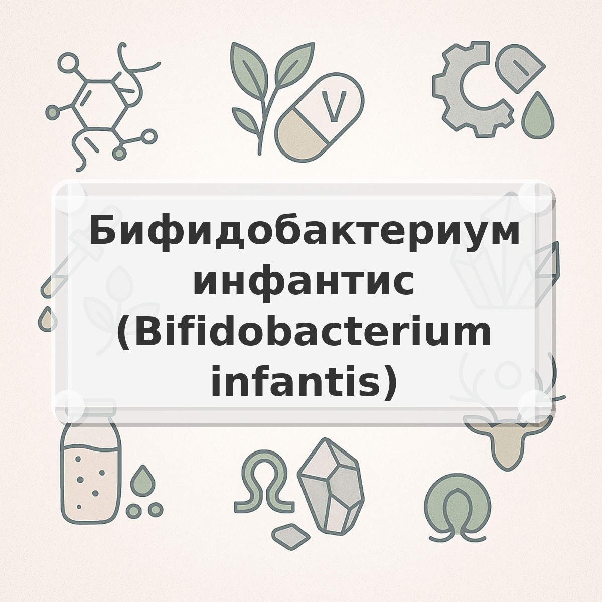 Бифидобактериум инфантис (Bifidobacterium infantis)