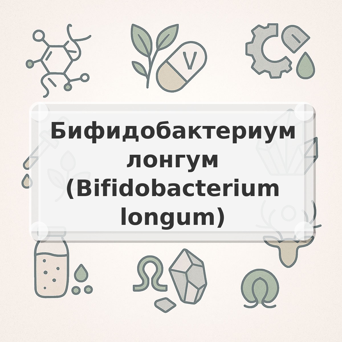 Бифидобактериум лонгум (Bifidobacterium longum)