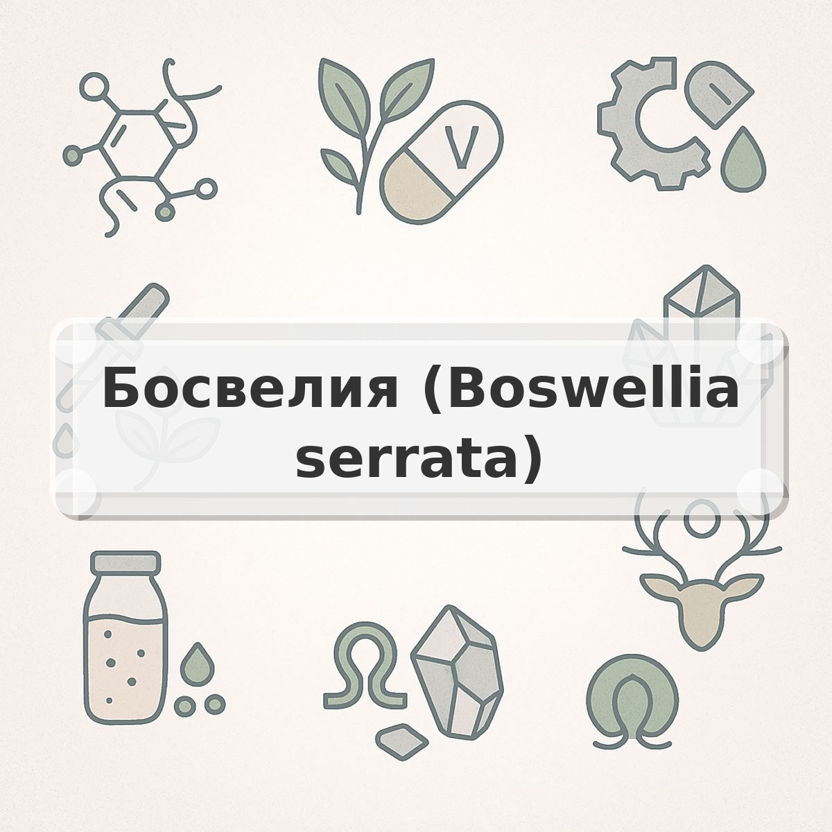 Босвелия (Boswellia serrata)
