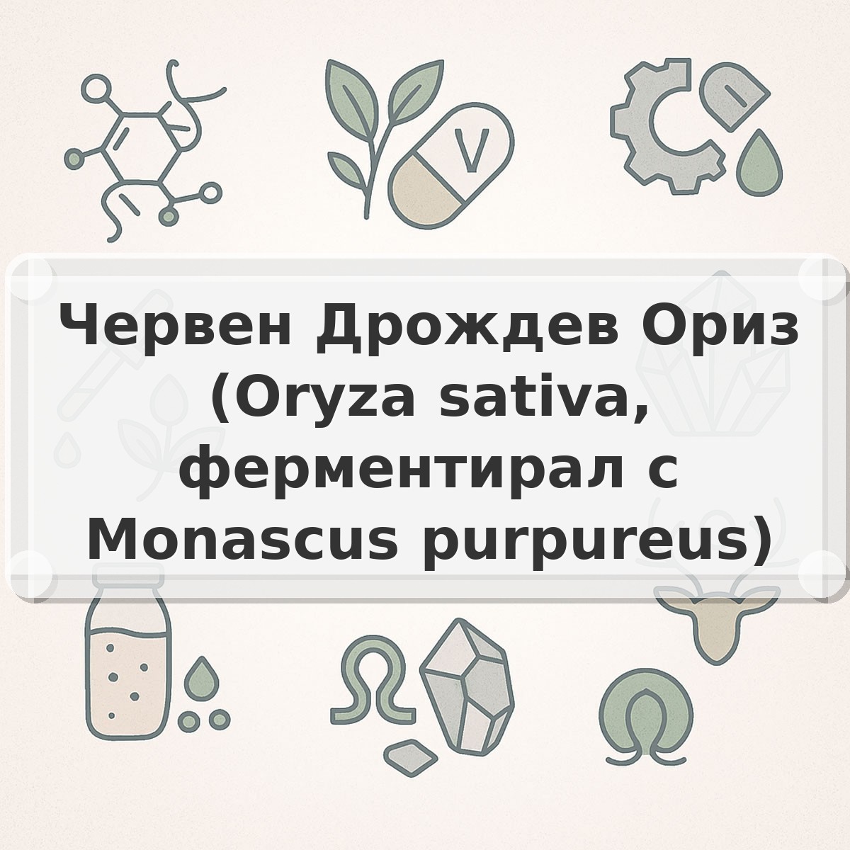 Червен Дрождев Ориз (Oryza sativa, ферментирал с Monascus purpureus)