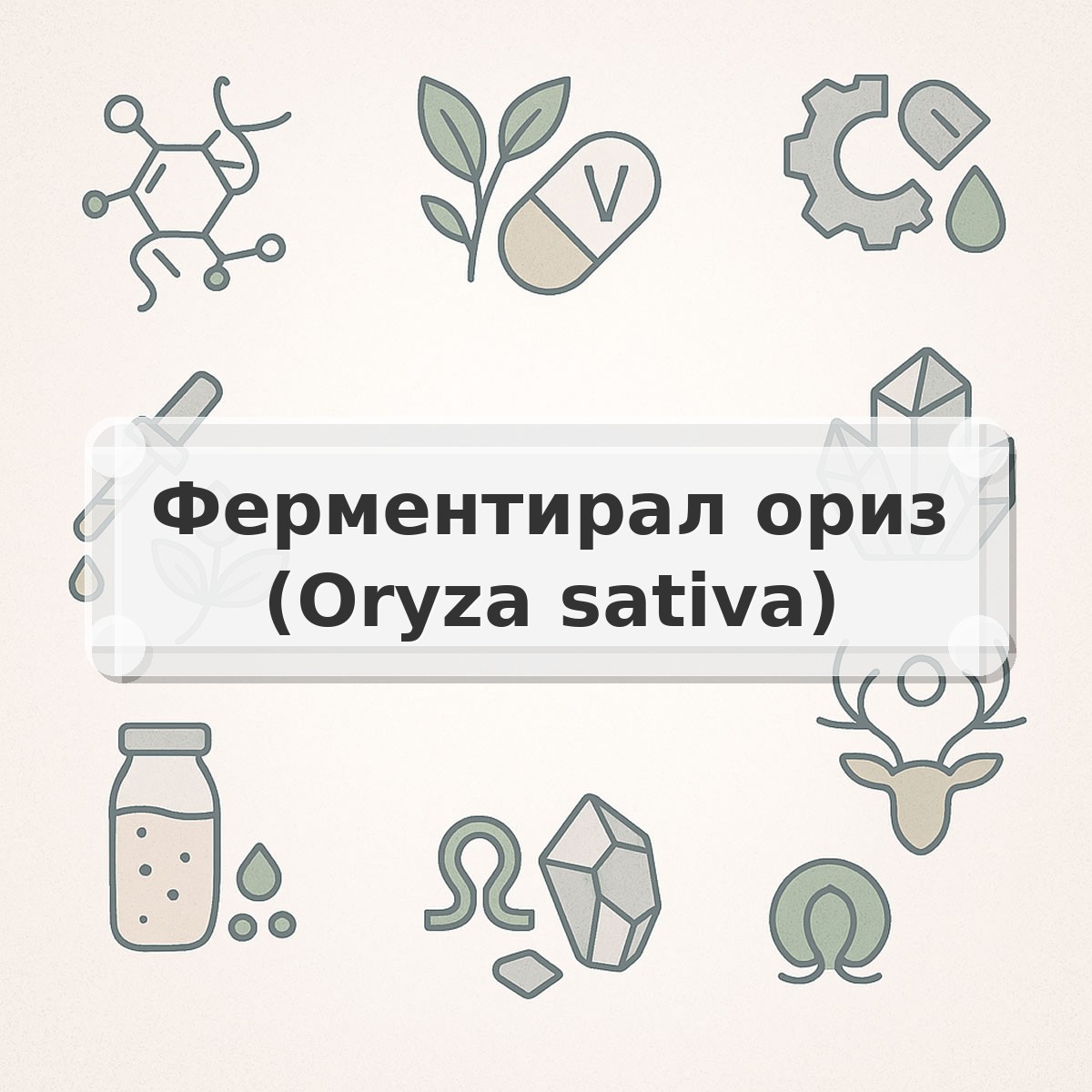 Ферментирал ориз (Oryza sativa)